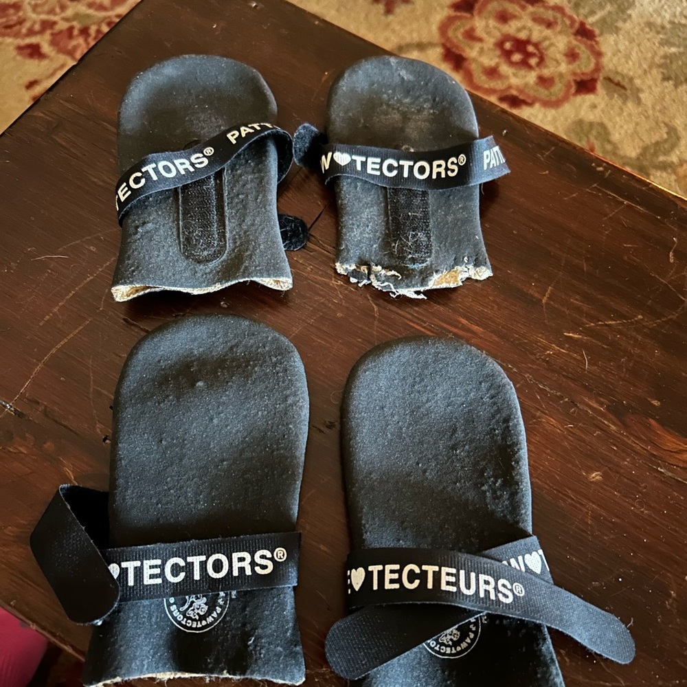 Set of PawTectors